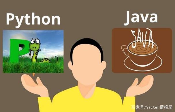 使用npm的python