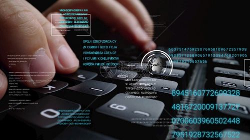 无线网的dhcp服务器是什么,TP