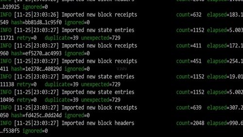 NestJS：如何将错误从一个错误过滤器传递到另一个错误过滤器？