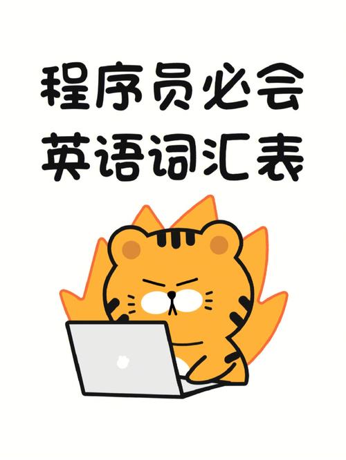 为什么VUE装载机及的WebPack